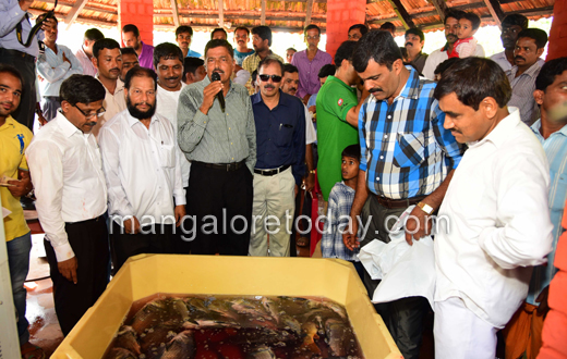 Pilikula fish fest 2015